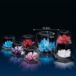 Vibrant crystalline coral formations in transparent containers against a dark background.