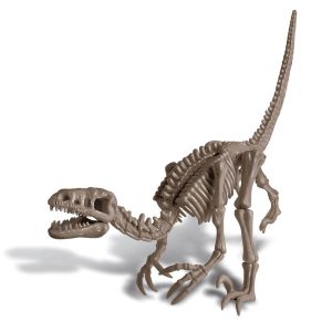 Dinosaur skeleton toy figure in action pose, showcasing detailed features of a theropod predator.