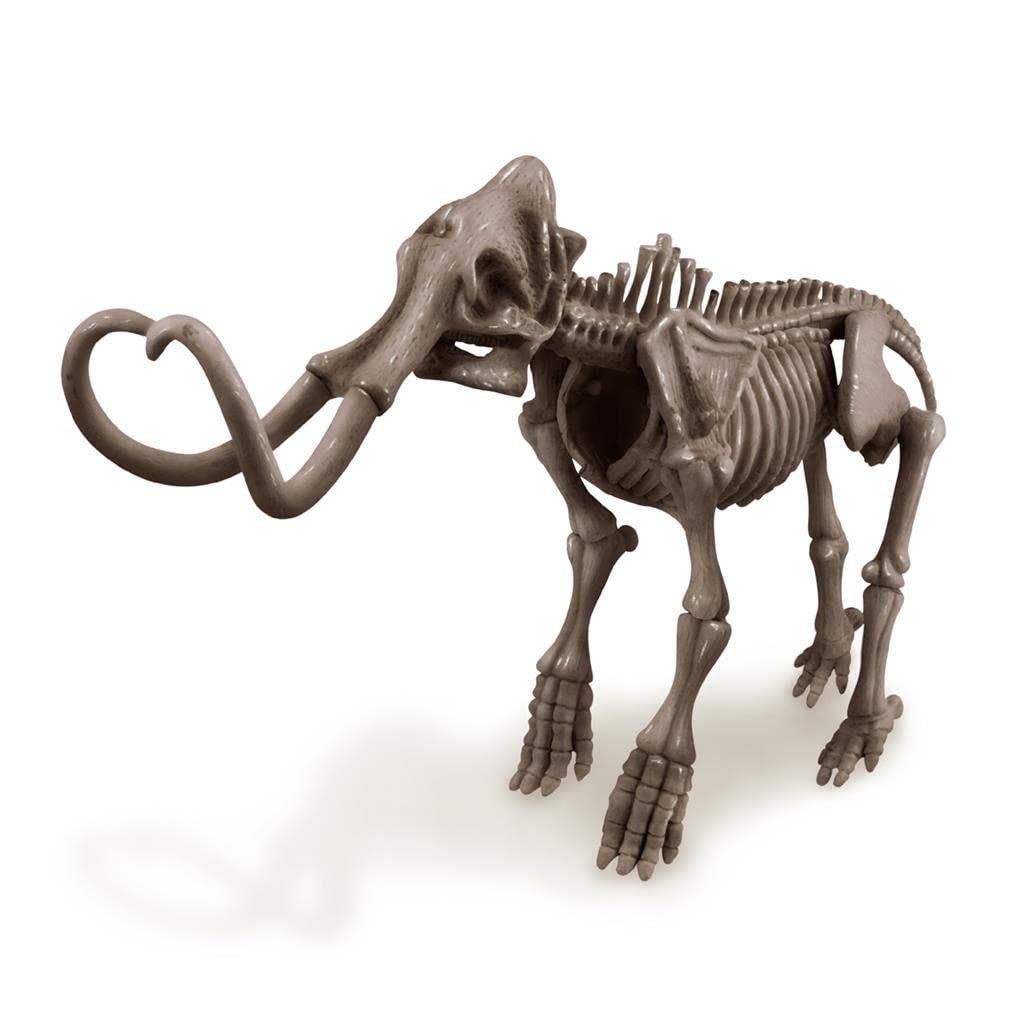 Whimsical elephant skeleton model in gray, featuring a playful curled trunk and detailed anatomy.