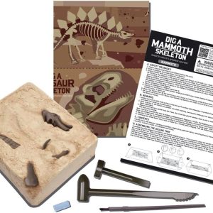 Excavate a mammoth skeleton with tools in this engaging Dinosaur Excavation Kit for kids.