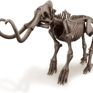 Life-sized mammoth skeleton model showcasing detailed bones and iconic tusks for educational display.