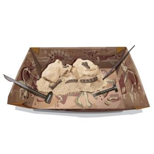 Paleontological excavation scene featuring fossilized skulls, excavation tools, and sandy textured tray.