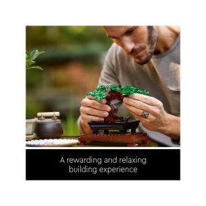 Man carefully tends to a bonsai tree, showcasing the calming beauty of gardening.