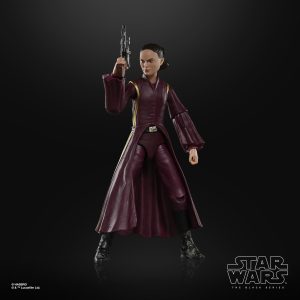Star Wars The Black Series Padmé Amidala, Star Wars: The Phantom Menace Collectible 6 Inch Action Figure, Ages 4 and Up