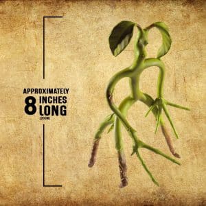 The Noble Collection Bendable Bowtruckle