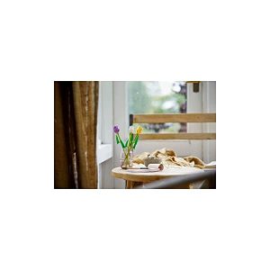 Bright indoor scene with a vibrant flower bouquet and soft light filtering through the window.