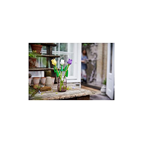 Colorful tulips in a glass vase brighten a rustic shelf with terracotta pots.